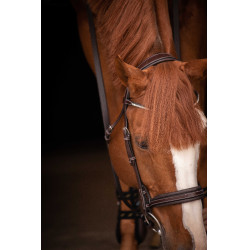 Bridon Pénélope Daily Strass SR Havane Marron Bridon Pénélope Daily Strass SR Havane Marron