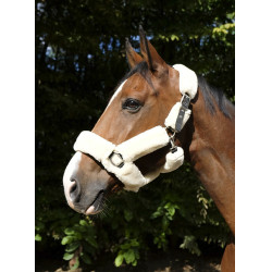 Licol Equithème Teddy Licol Equithème Teddy