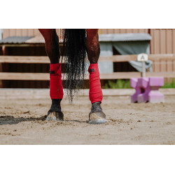 Bandes de polo Equithème par 4 Rouge