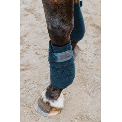 Bandes de polo Equithème par 4 Vert foncé