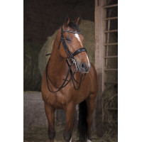 Rênes filet Norton 16 mm Noir