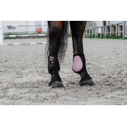 Protège-boulets Equithème Rose