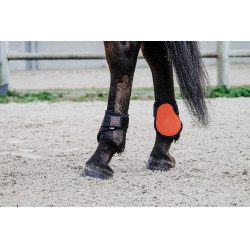 Protège-boulets Equithème Orange
