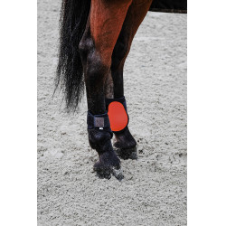 Protège-boulets Equithème Orange