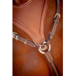 Flèche de martingale Pénélope Bip Plain Elastique Noisette Marron