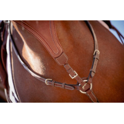 Flèche de martingale Pénélope Bip Plain Elastique Noisette Marron