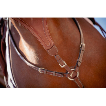 Flèche de martingale Pénélope Bip Plain Elastique Noisette Marron