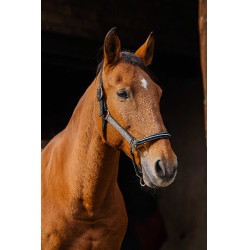 Licol nylon Equithème Domino Cuivre Marron Licol nylon Equithème Domino Cuivre Marron