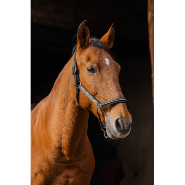 Licol nylon Equithème Domino Cuivre Marron Licol nylon Equithème Domino Cuivre Marron