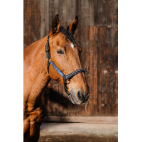 Licol nylon Equithème Domino Bleu roi Licol nylon Equithème Domino Bleu roi