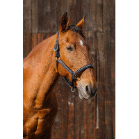 Licol nylon Equithème Domino Violet