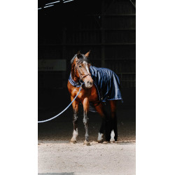 Chemise marcheur Equithème Classic 1200D