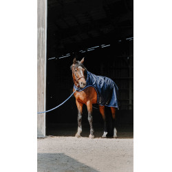 Chemise marcheur Equithème Classic 1200D