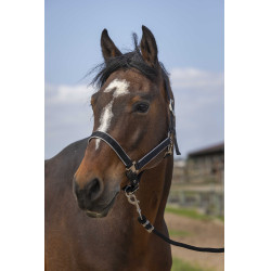 Licol Equithème Nylon light Noir