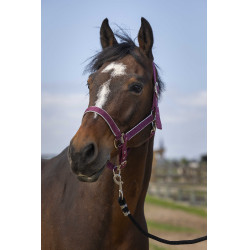 Licol Equithème Nylon light Bordeaux