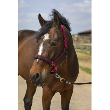 Licol Equithème Nylon Strass Bordeaux