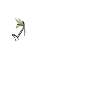 Bonnet anti-mouches LeMieux Esme Macaron Blanc