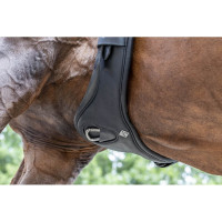 Sangle courte LeMieux Gel -Tek Anatomic Noir Sangle courte LeMieux Gel -Tek Anatomic Noir