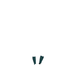 Chaussettes de concours LeMieux Sparkle Jungle Blanc