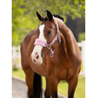 Licol et longe LeMieux Vogue Esme Bleu corn