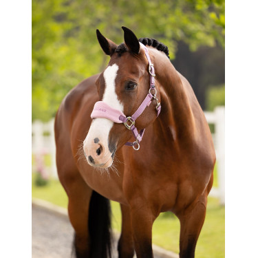 Licol et longe LeMieux Vogue Esme Mallow Violet