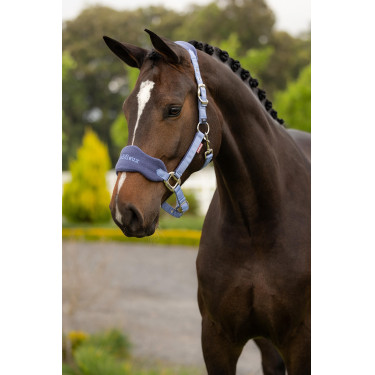 Licol et longe LeMieux Vogue Esme Powder blue