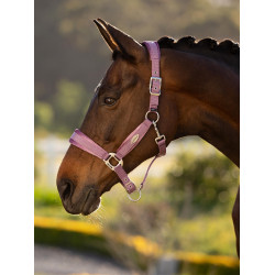 Licol LeMieux Versailles Mallow