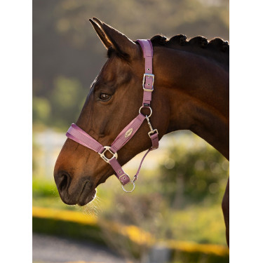 Licol LeMieux Versailles Mallow