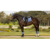 Tapis de selle LeMieux Loire Close Contact Square CSO Benetton Bleu Tapis de selle LeMieux Loire Close Contact Square CSO Benetton Bleu