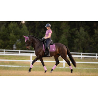 Tapis de selle LeMieux Loire Dressage Square Benetton Bleu