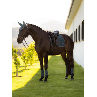 Tapis de selle LeMieux Loire Dressage Square Jungle Blanc Tapis de selle LeMieux Loire Dressage Square Jungle Blanc