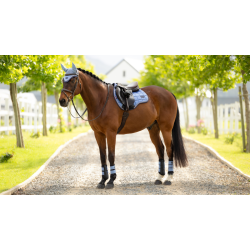 Tapis de selle LeMieux Loire Square mixte Powder blue