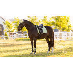 Tapis LeMieux Reflective Suede Dressage Square Macaron