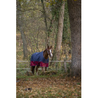 Couverture Equi-Theme Tyrex 1200 D / Couverture Equi-Theme Tyrex 1200 D /