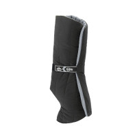 Sous-bandes Veredus Anatomique antérieurs Noir