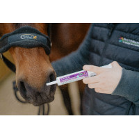 Electro Zip Horse Master