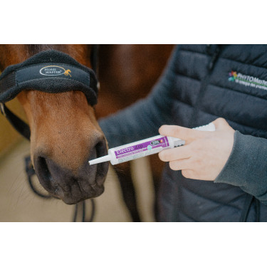 Electro Zip Horse Master Electro Zip Horse Master