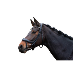 Bridon HKM Mila anatomiques