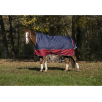 Couverture Equithème Tyrex 1200D High Neck Marine / bordeaux Bleu Couverture Equithème Tyrex 1200D High Neck Marine / bordeaux Bleu