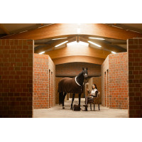 Couverture séchante Lauria Garrelli Arezzo Marron foncé