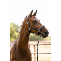 Licol en cuir HKM Glamour Noir / argenté