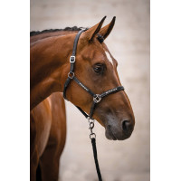 Licol en cuir HKM Sparkle Noir