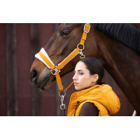 Licol Lauria Garrelli Arezzo Moutarde Jaune