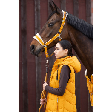 Licol Lauria Garrelli Arezzo Moutarde Jaune