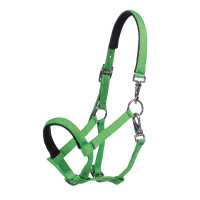 Licol poulain HKM Millie Vert néon