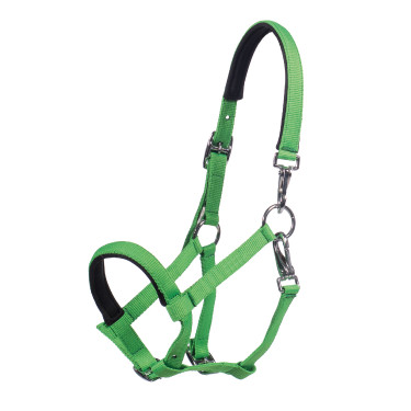 Licol poulain HKM Millie Vert néon