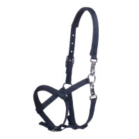 Licol poulain HKM Millie Bleu profond