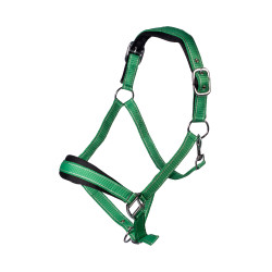 Set de licol HKM Lilly mousqueton et franges détachable Vert