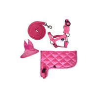 Set néon HKM Hobby Horse Rose