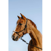 Licol éthologique Westride Western Noir Licol éthologique Westride Western Noir